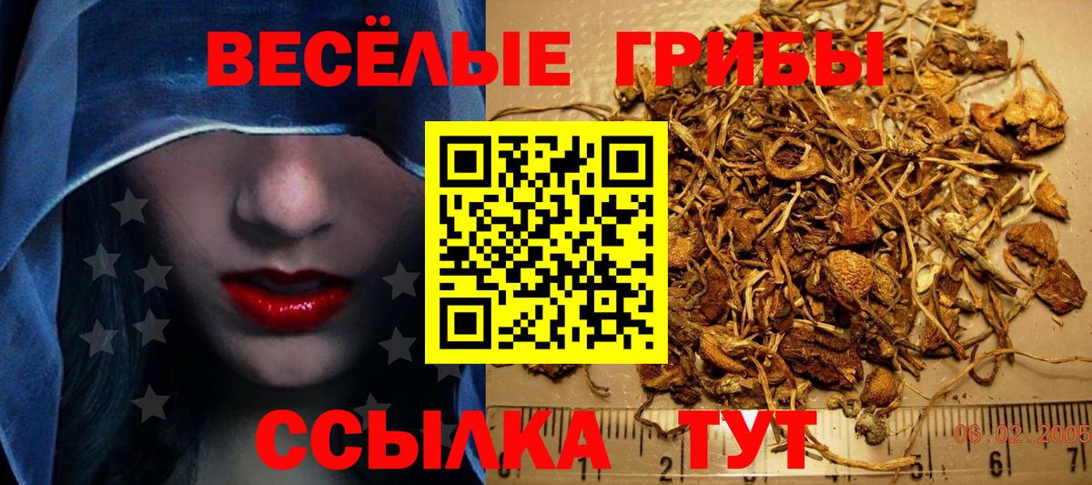Дедовск  Псилоцибиновые грибы GOLDEN TEACHER  Вход с VPN 